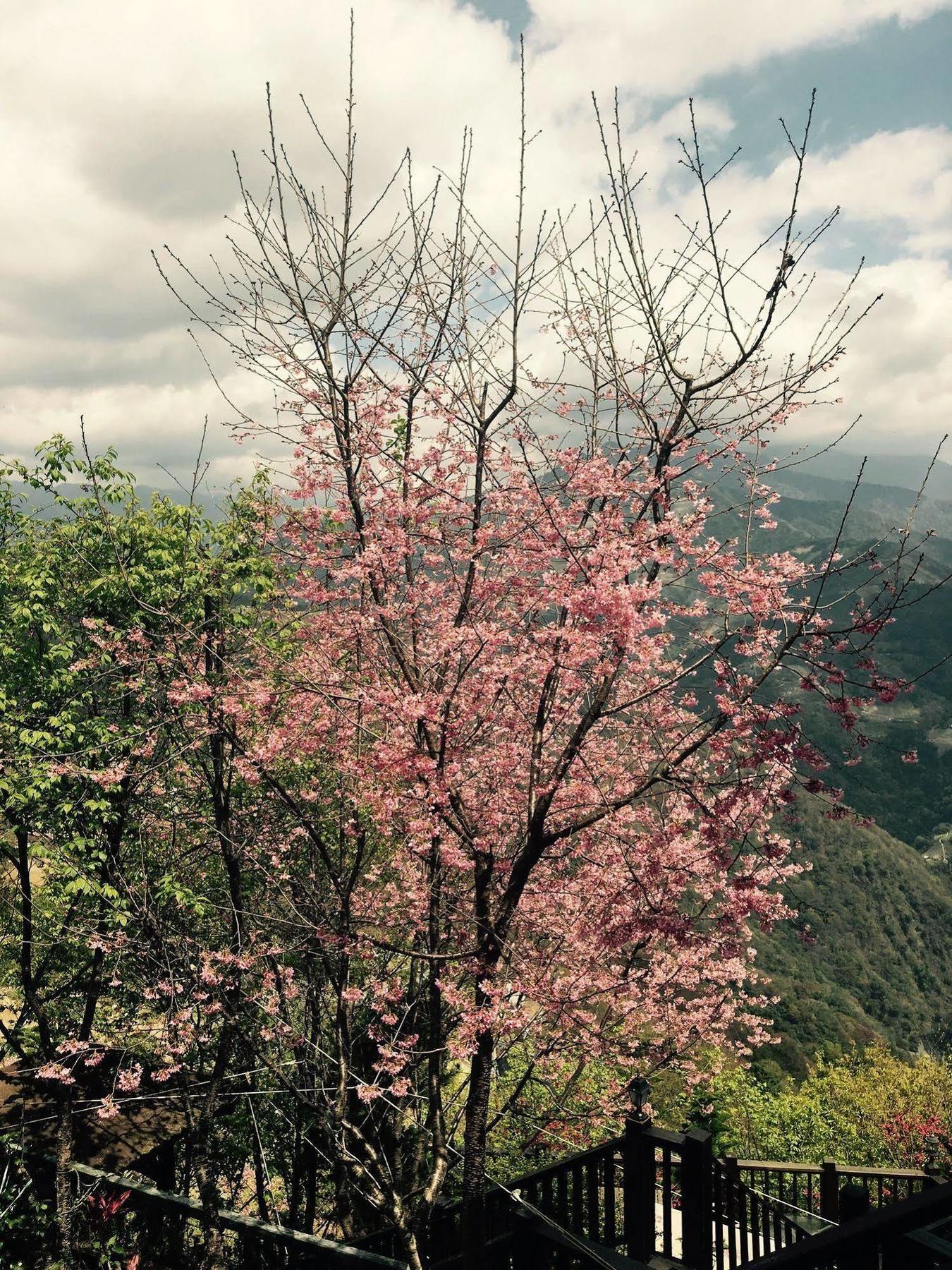 Spring Ground Resort Renai Buitenkant foto